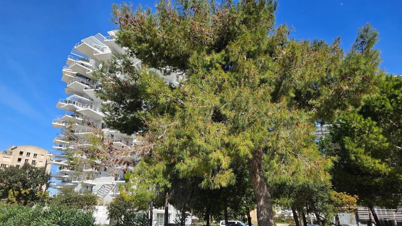 Arbre Blanc, Une Folie Montpellieraine Exterior photo